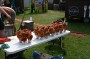Thumbs/tn_Woodstock 2.0 2024 236.jpg